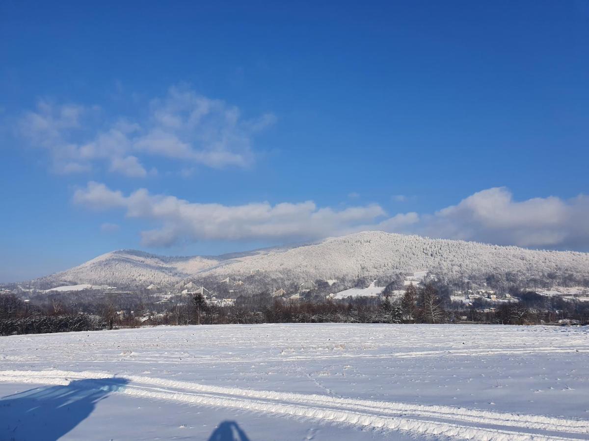Domek Pod Krolowem Ustron Bagian luar foto